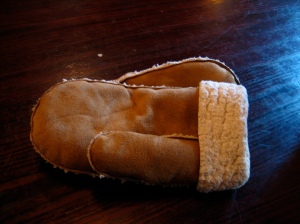 My trusty mittens.